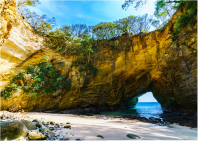 Wフォトイメージ10